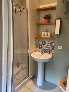 uma casa de banho com um lavatório e um chuveiro em Le pigeonnier de la plume em Nantes