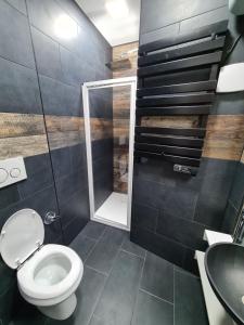 ein Bad mit einem WC und einer ebenerdigen Dusche in der Unterkunft SMART HOME in Triest