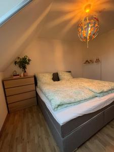 1 dormitorio con cama y lámpara de araña en Isenbüttel Ferienwohnung en Isenbüttel