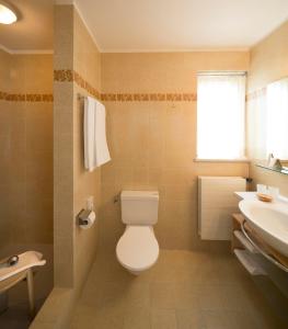 La salle de bains est pourvue de toilettes et d'un lavabo. dans l'établissement Hotel Garni Rivabella au Lac, à Brissago
