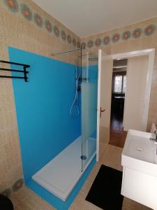 a bathroom with a shower with a blue wall at Flavia in Cividale del Friuli +46 photos