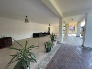 a living room with potted plants and a couch at Pietrabianca Country House in Manocalzati