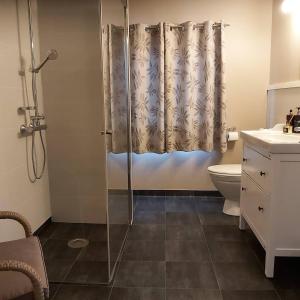 La salle de bains est pourvue d'une douche et de toilettes. dans l'établissement Varangertunet Rooms and Apartments, à Jakobselv