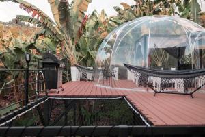 Zahrada ubytování Chamí Glamping
