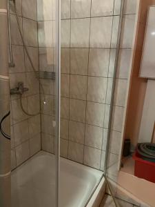 een douche met een glazen deur in de badkamer bij Salzstraße 22 Pansion Hipokratios Apartment in Fürth