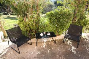 Duas cadeiras e uma mesa com um conjunto de chá em Luxury Apartments Christos em Gouvia