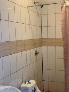 een badkamer met een toilet en een douche bij La Fortuna Roja in San José