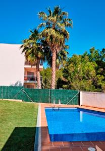 a swimming pool with two palm trees and a fence at Magnifico Apartamento Edificio Marina in Calafat