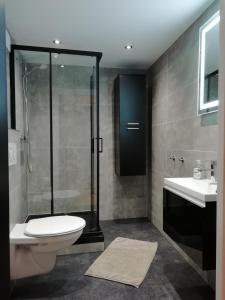 a bathroom with a shower and a toilet and a sink at Group Haus Blick am Edersee 13P in Waldeck +23 photos