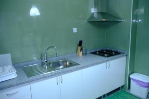 a kitchen with a sink and a stove at Apartamento Alegria in Arouca +34 photos