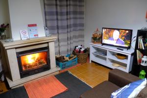 a living room with a fireplace and a television at Apartamento Alegria in Arouca