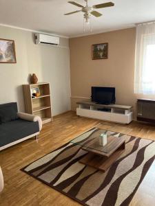 a living room with a couch and a tv at Balaton apartman in Balatonboglár