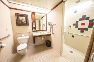 a bathroom with a toilet and a sink and a shower at Alyeska Resort in Girdwood