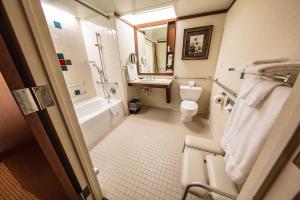 a bathroom with a toilet and a sink and a shower at Alyeska Resort in Girdwood