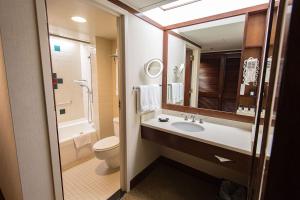 a bathroom with a sink and a toilet and a mirror at Alyeska Resort in Girdwood