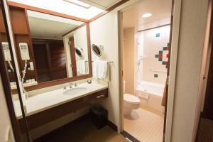 a bathroom with a sink and a toilet and a mirror at Alyeska Resort in Girdwood
