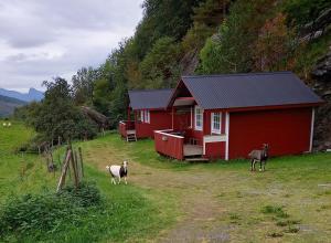 eine rote Scheune mit zwei Schafen davor in der Unterkunft Vassel gård in Herand