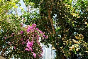 Giardino di Hotel Drei Raben