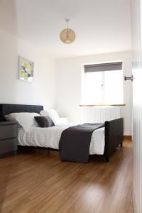 Gallery image of Lux Apartment in Bangor