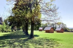 a tree in the middle of a field with houses at Chalets et cabane perchée "Ô Cœur des Puys" in Ceyssat +125 photos