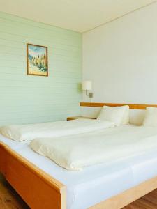 Postel nebo postele na pokoji v ubytování Hotel Gletscherblick