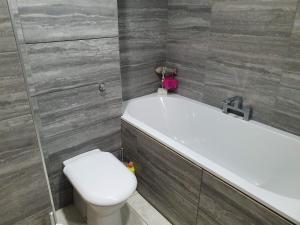 a bathroom with a toilet and a bath tub and a sink at SNG Apartments Excel in London