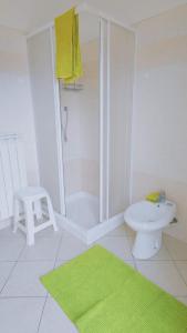 een badkamer met een douche, een toilet en een groen tapijt bij Eden 96 in Camporosso