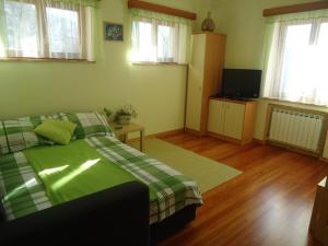 een slaapkamer met een bed en een televisie. bij Apartment Šavli in Kobarid