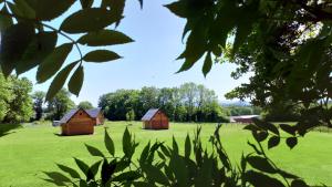 deux granges dans un champ d'herbe verte dans l'établissement Chalets "Ô Cœur des Puys", à Ceyssat