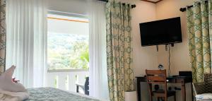 TV a/nebo společenská místnost v ubytování Mountain View Hotel