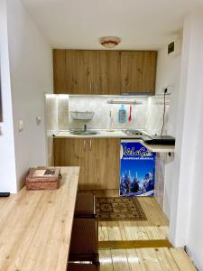 Kuchyň nebo kuchyňský kout v ubytování Apartment Velago
