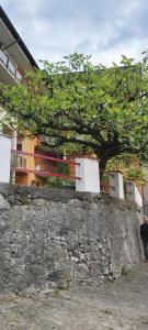 a tree sitting on top of a stone wall at Miralago Casa in Menaggio