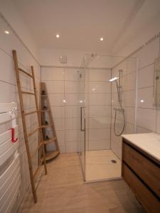 a bathroom with a shower with a glass door at Les Clématites de Saint-Aignan 8p, 7min du Zoo in Saint-Aignan