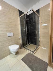 Kúpeľňa v ubytovaní Villa Bori Siófok