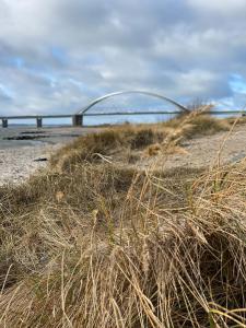 フェーマルンにあるFischerhusの橋を背景にした浜辺の草山