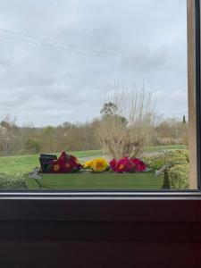 Zahrada ubytování Comme à la maison - Chambre double chez habitant près de Toulouse