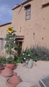 a building with vases and flowers in front of it at Kasbah Izoran in Midelt