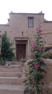 a building with a door and a plant with pink roses at Kasbah Izoran in Midelt