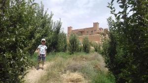 a boy standing on a dirt path in a field at Kasbah Izoran in Midelt