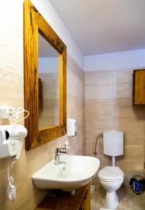 a bathroom with a sink and a toilet and a mirror at Stone Way Apartment in Sibiu