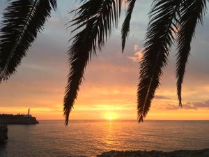 Afbeelding uit fotogalerij van Hostal Bahía Azul in Portocolom