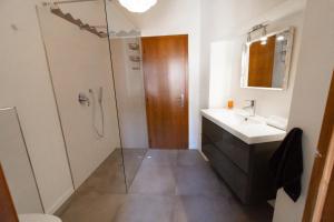 y baño con ducha, lavabo y espejo. en Appartamento Trentino, en Molina di Ledro