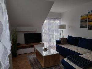 TV a/nebo společenská místnost v ubytování Apartman Giovanni