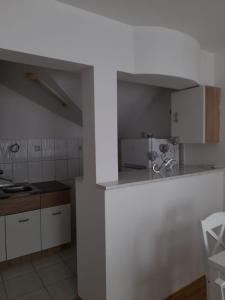 Kuchyň nebo kuchyňský kout v ubytování Apartman Giovanni