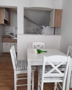 Kuchyň nebo kuchyňský kout v ubytování Apartman Giovanni + 6 fotografií