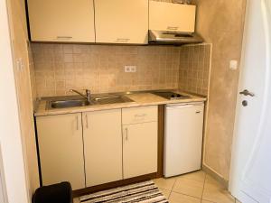 Kuchyň nebo kuchyňský kout v ubytování Apartments Gurman