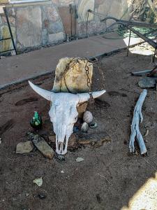 un cráneo de animal con una cadena encima en Mokee Motel en Bluff