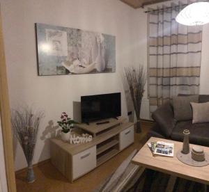 salon z telewizorem i kanapą w obiekcie An der Abzucht w mieście Goslar