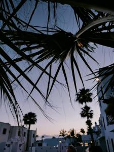 a view of the sky from under a palm tree at Aguazul 120 in Tías