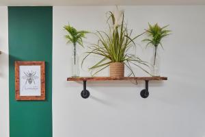 Luxury Apartment Near Piccadilly Train Station